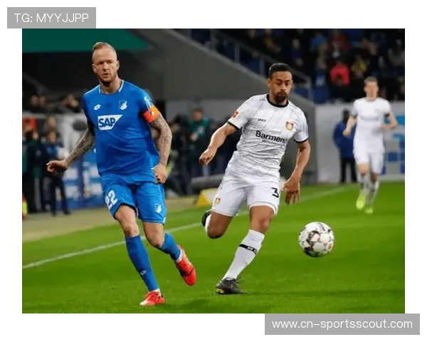 霍芬海姆vs门兴：主场强势与伤病潮下的较量